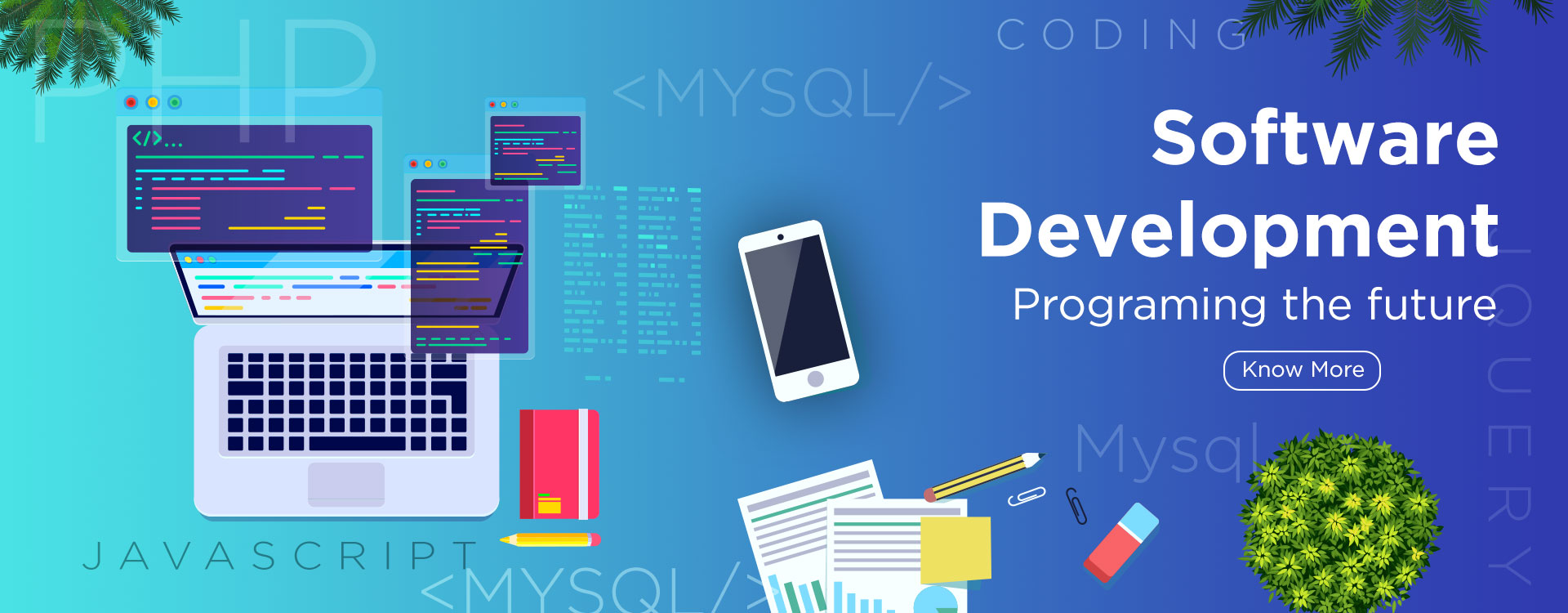 Software Development